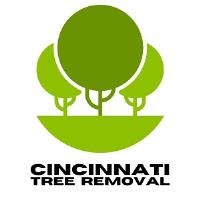 Cincinnati Tree Removal image 2